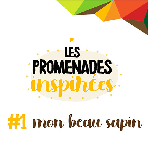 Les promenades inspirées - Mon beau sapin