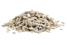 Seeds