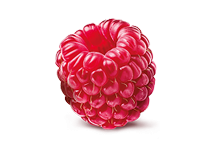rapsberry