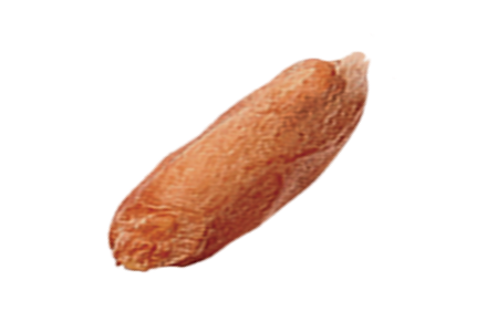 spelt flakes