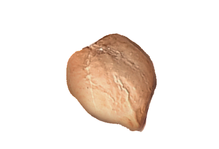 chickpeas