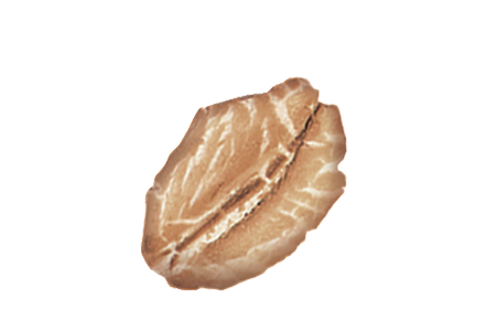 oats