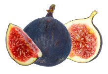 fig