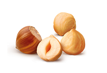 hazelnut
