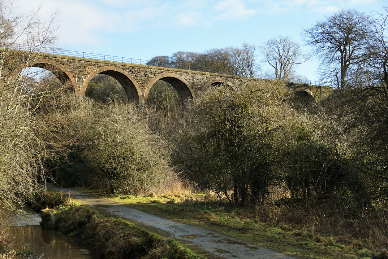 Livingston