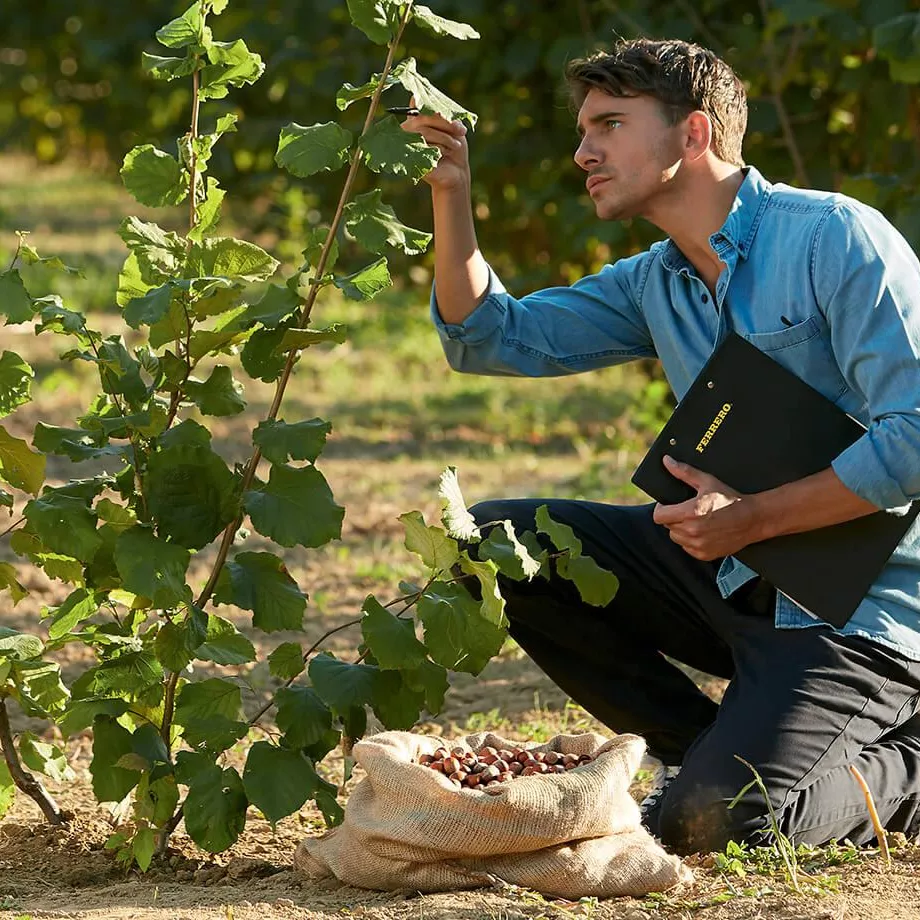 Man working in a field