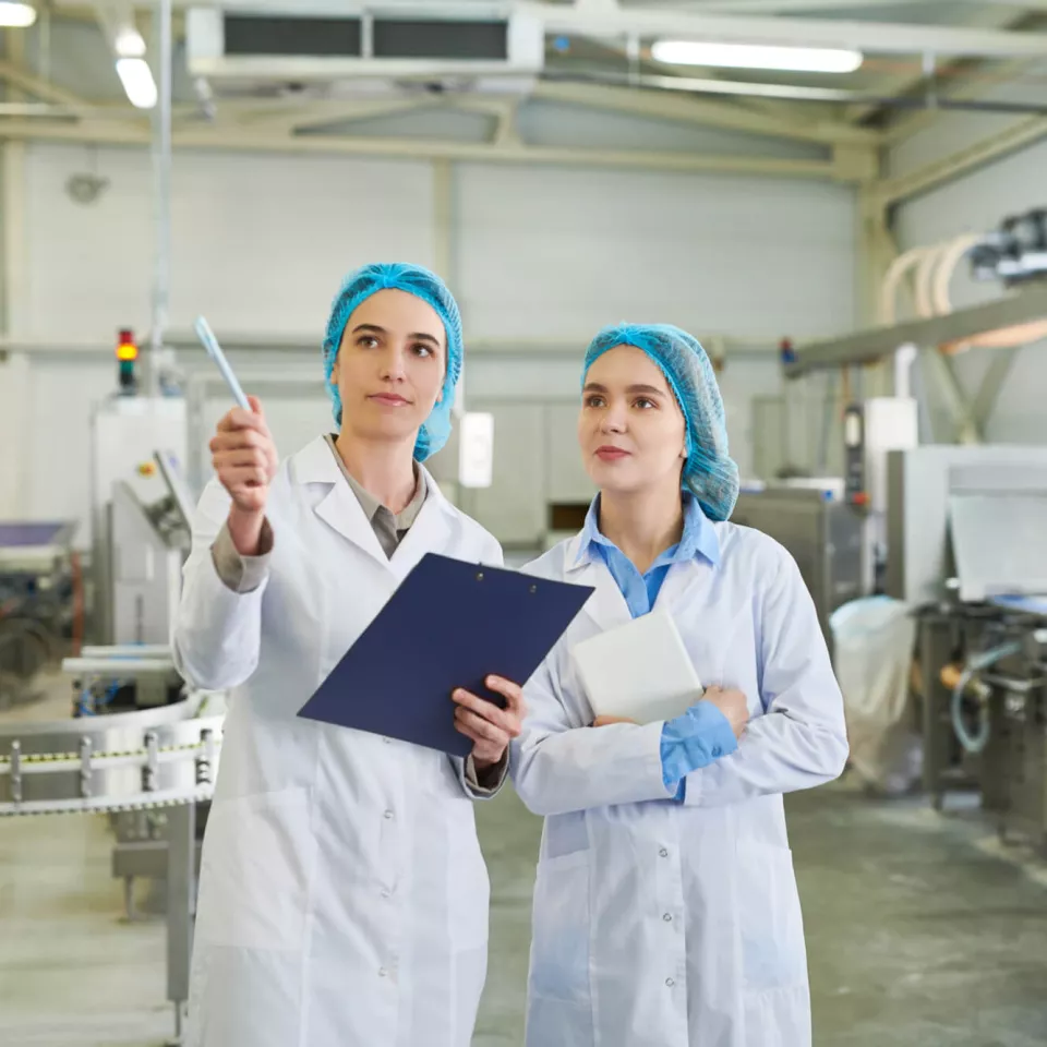 Two people working in Ferrero