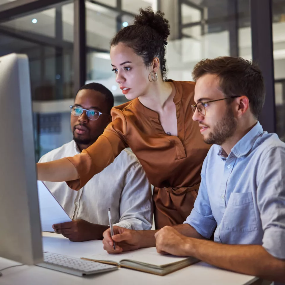 People working with the computer