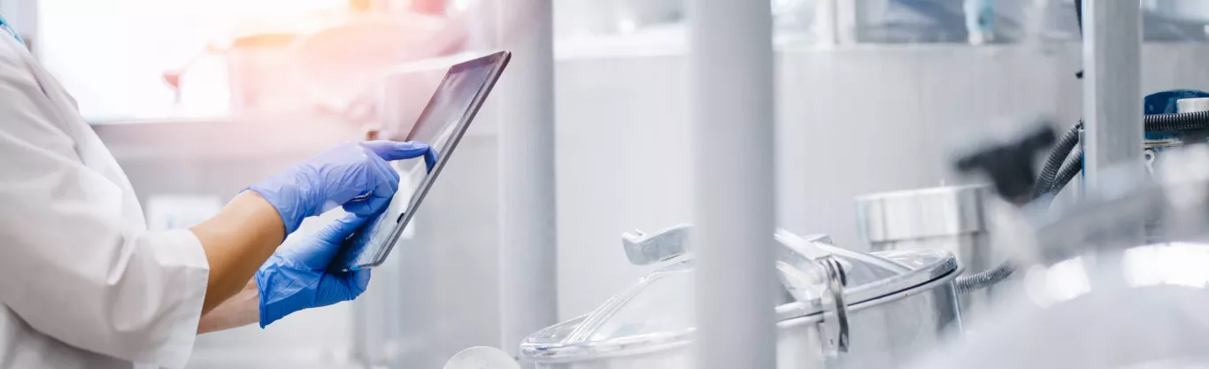 People working on Manufacturing in Ferrero