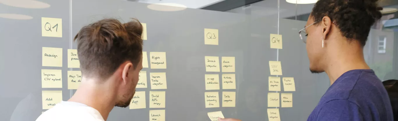 colleagues organizing their works