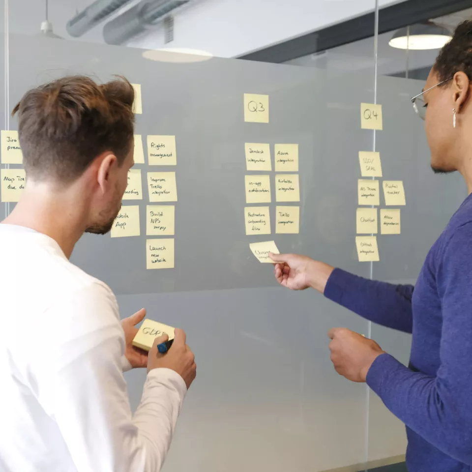 colleagues organizing their works