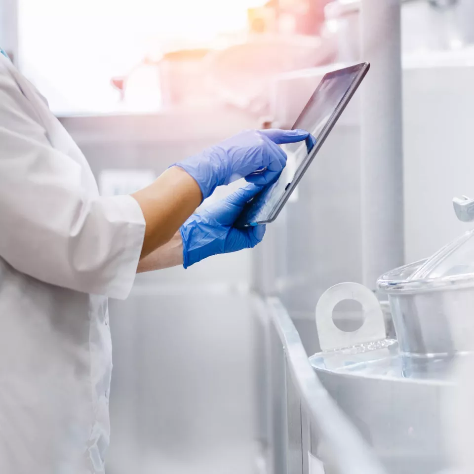 People working on Manufacturing in Ferrero