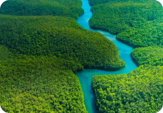 Forest landscape with a winding blue waterway