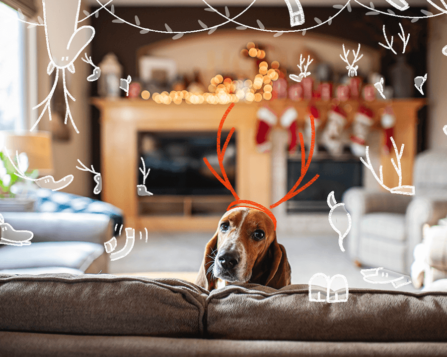 Dove si nascondono le renne di Babbo Natale?