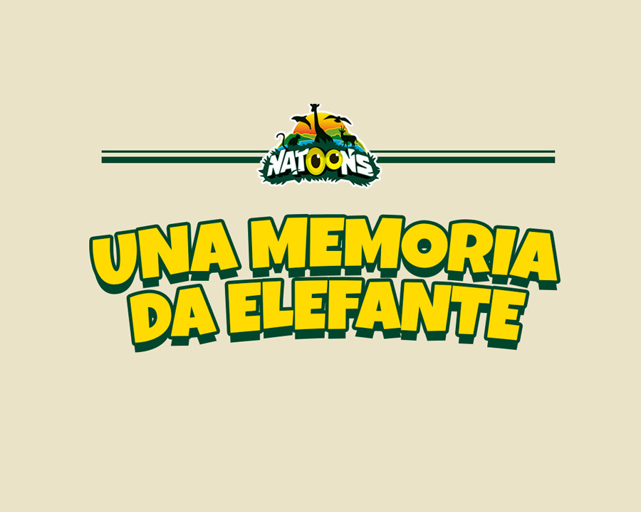 Una memoria da elefante