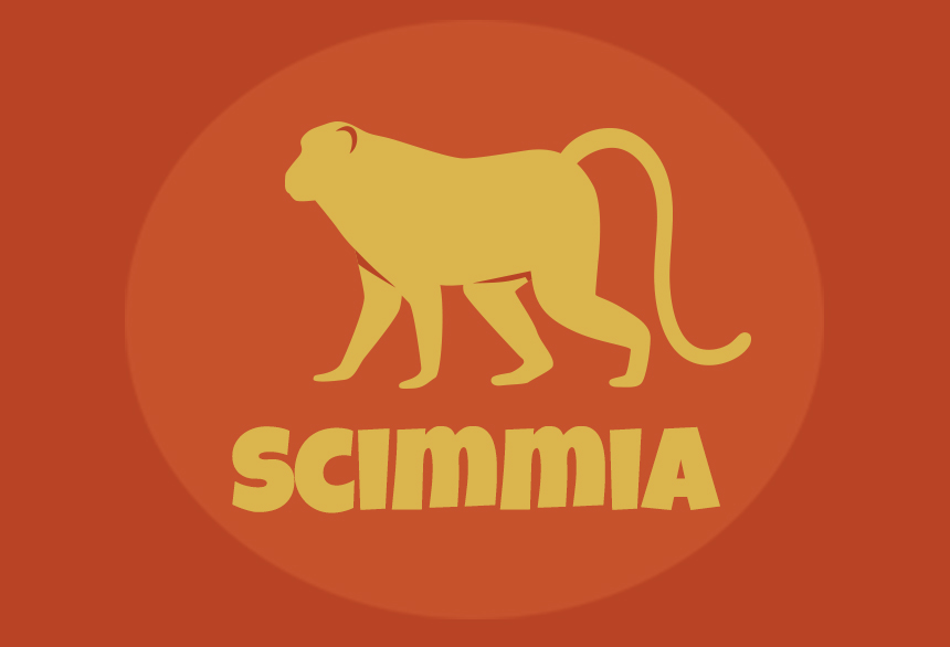 Scimmia Scimmia